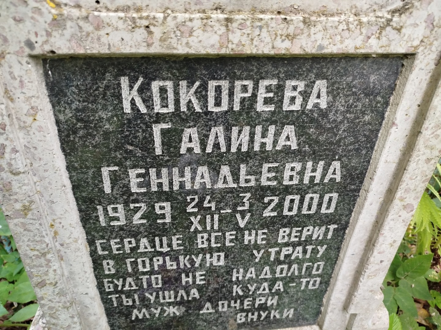 Кокорева