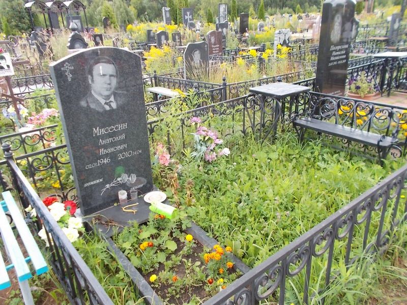 Мисесин Анатолий Иванович
