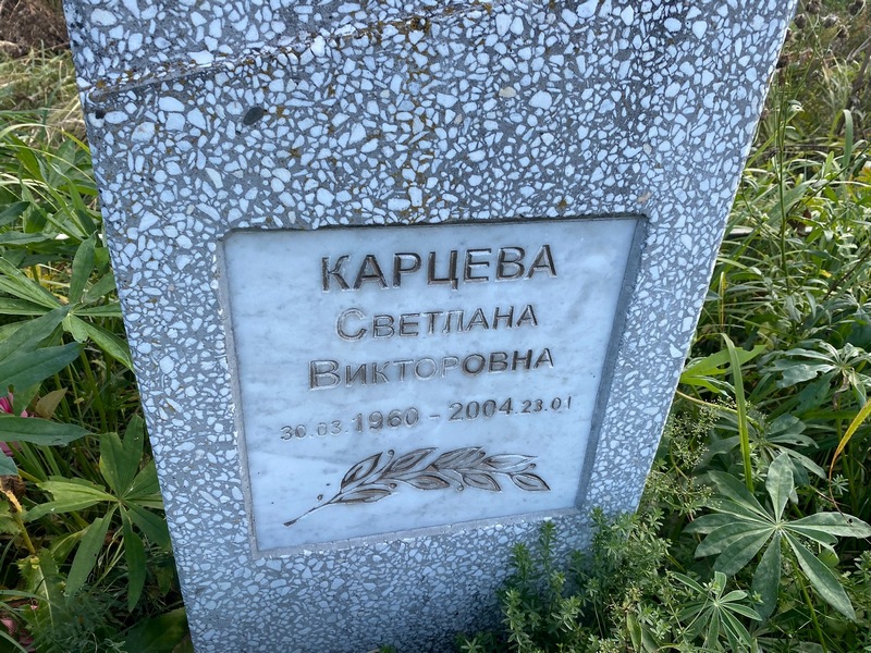 Карцева