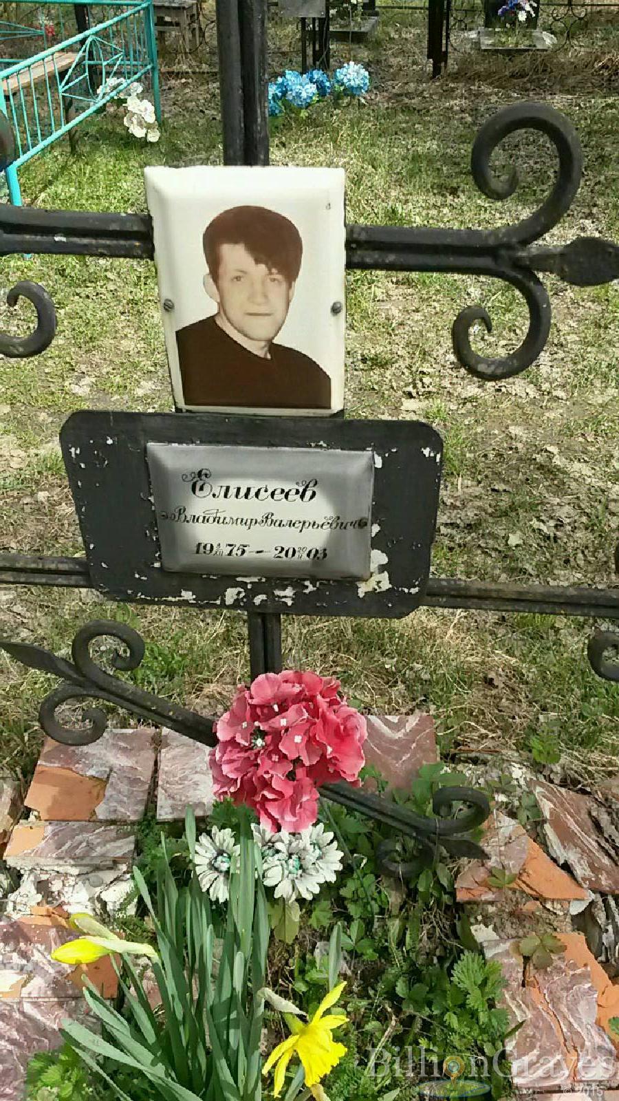 елисеев владимир валерьевич