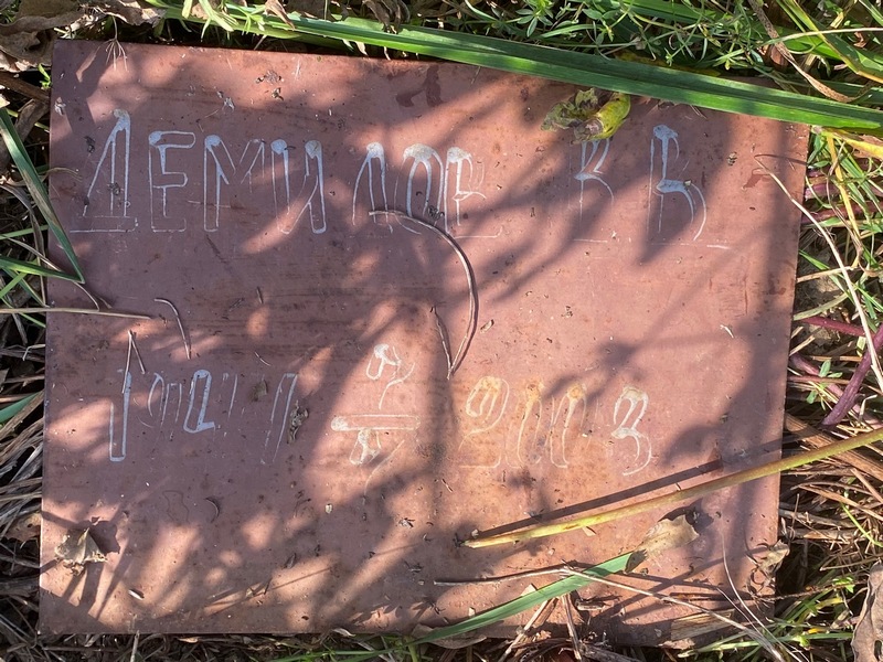 В Демидов В