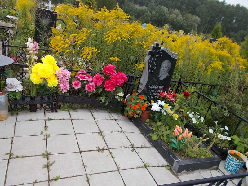 Сорокина Александра Павловна