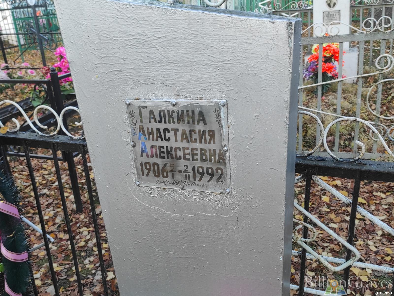 Галкина Анастасия Алексеевна