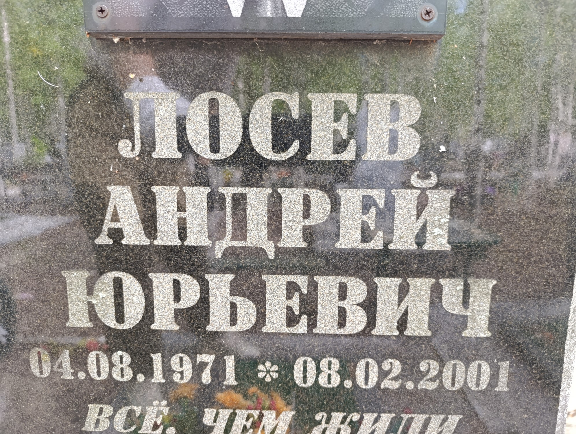 Лосев Андрей Юрьевич