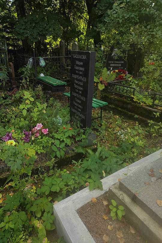 Лаврентьев Николай Петрович