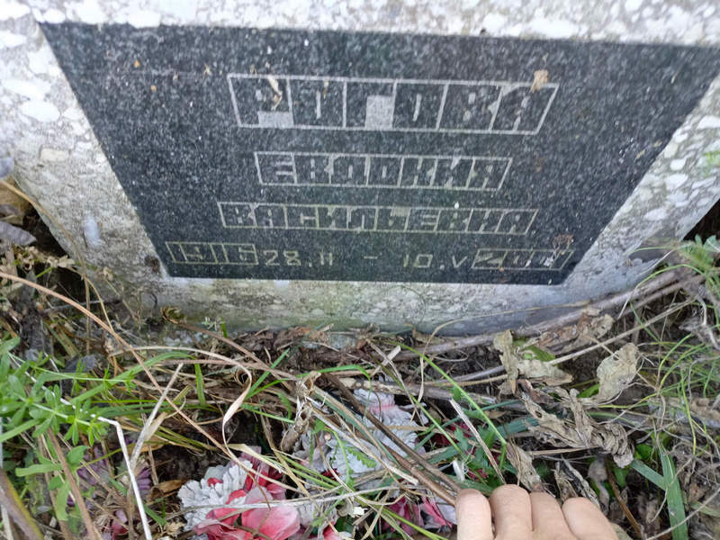 Рогова