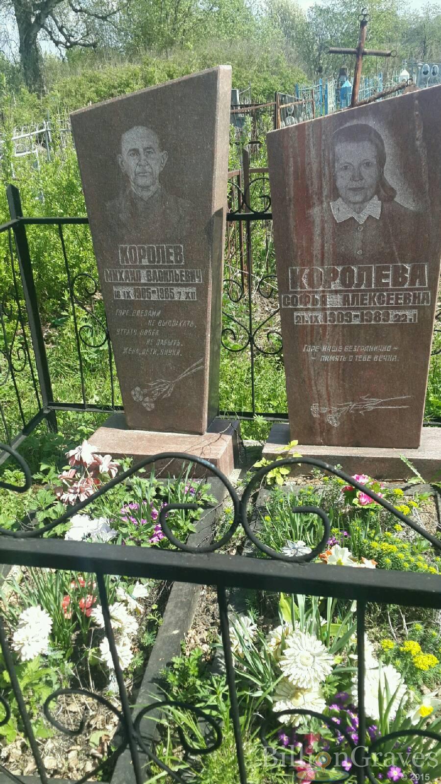 Королёва Софья Алексеевна