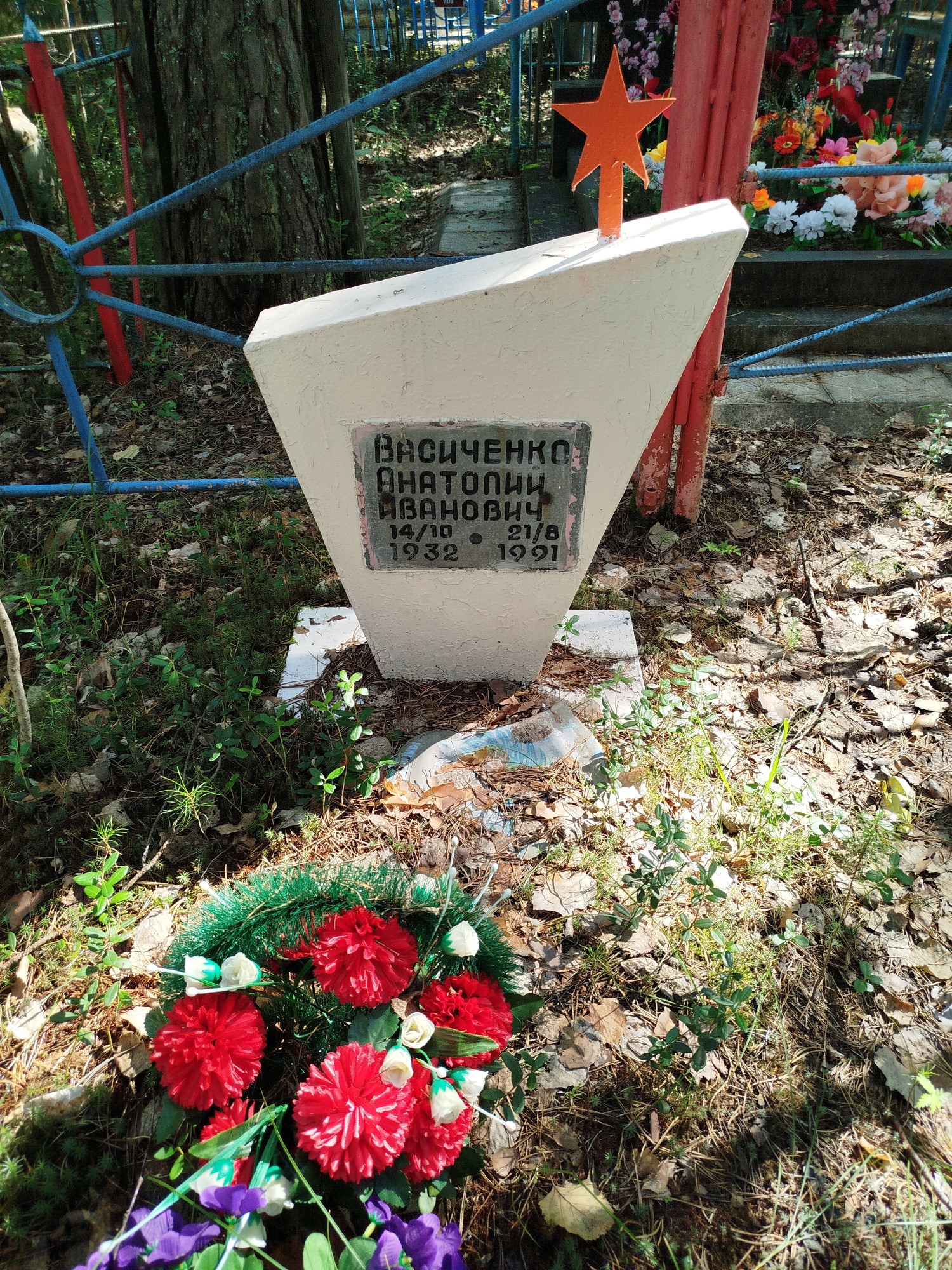 Васиченко Анатолий Иванович