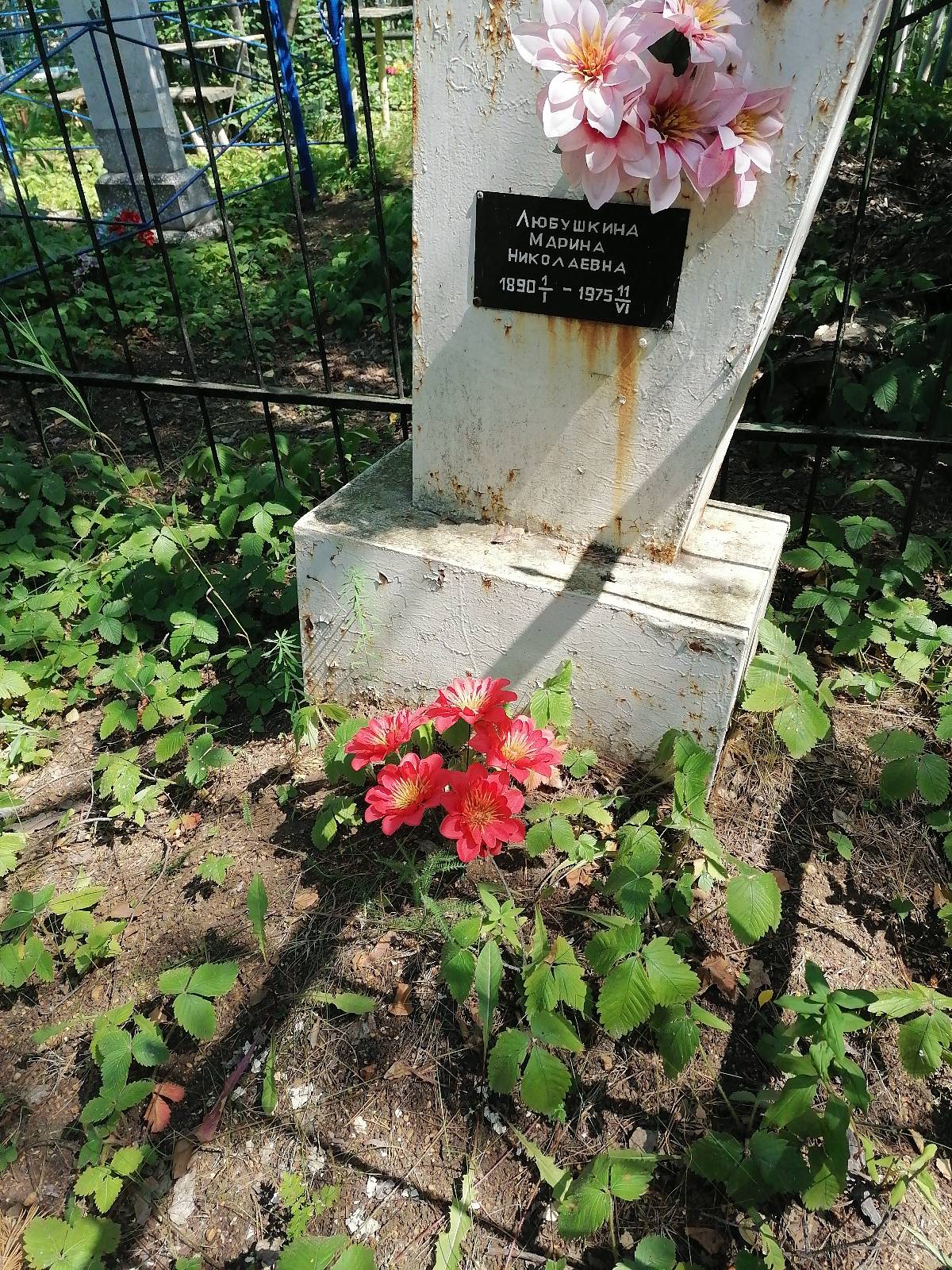 Любушкина Марина Николаевна