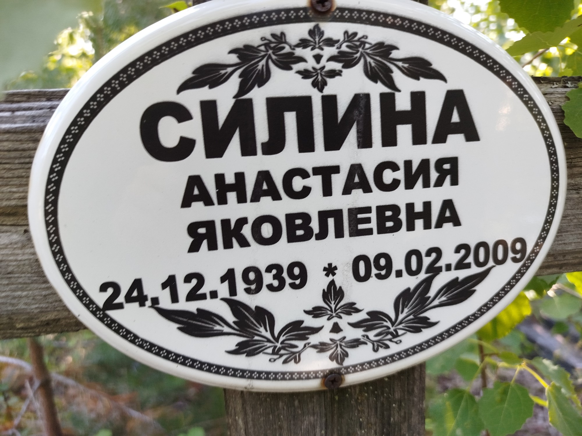 Силина Анастасия Яковлевна