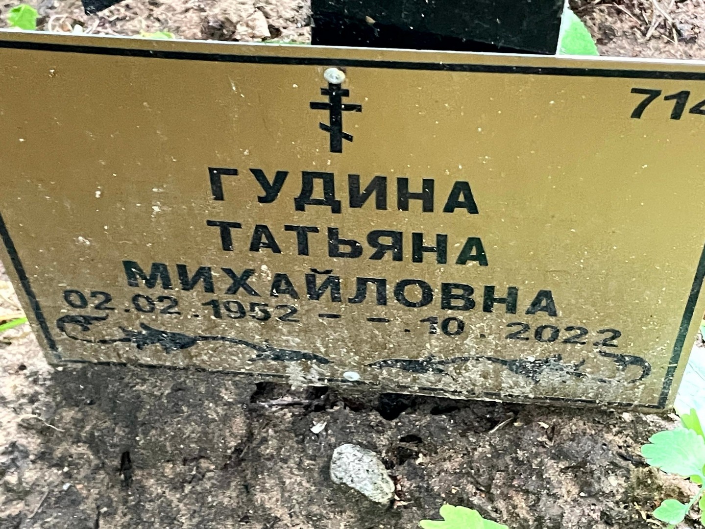 Гудина