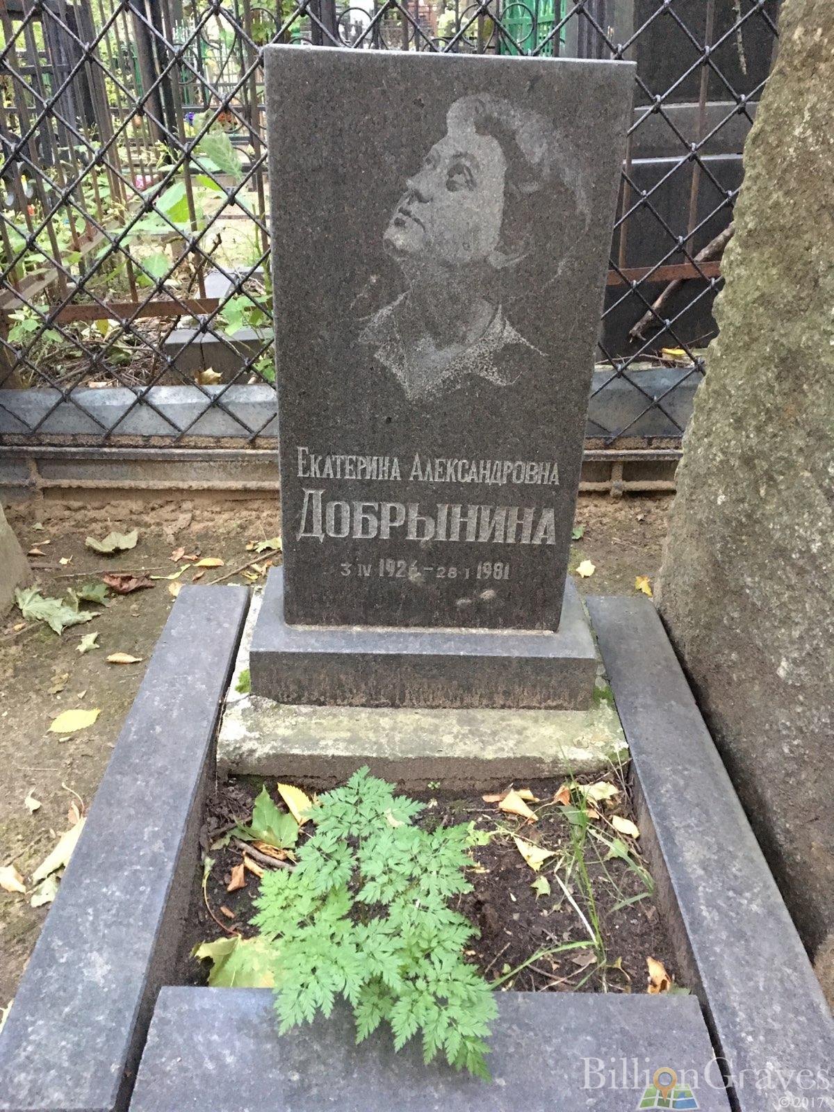 Добрынина Екатерина Александровна