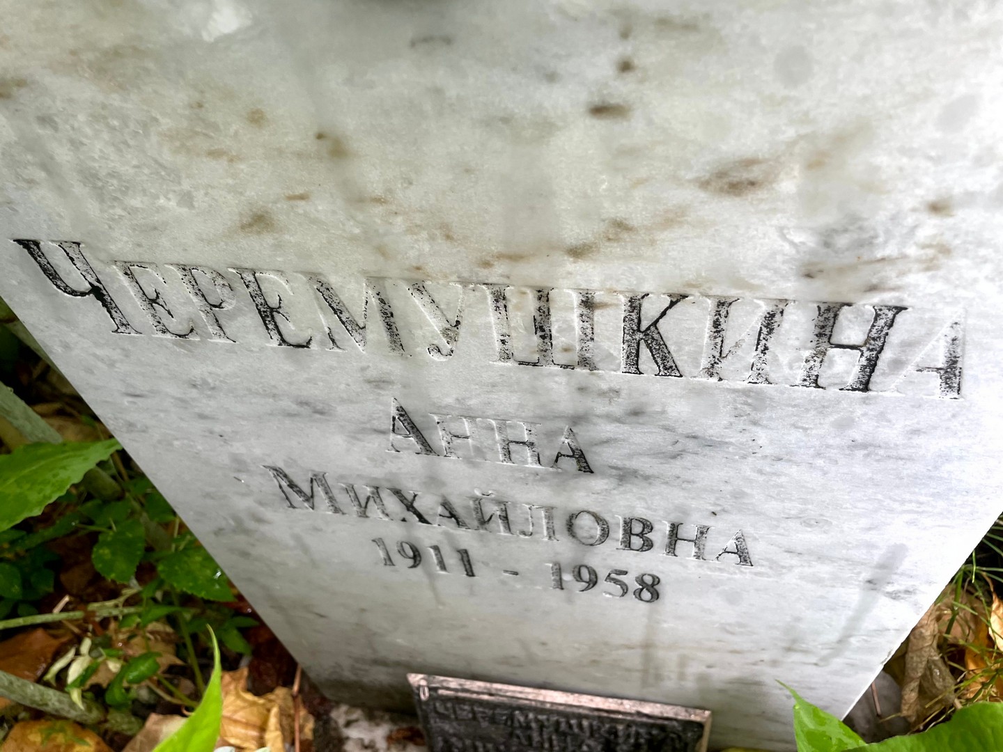 Черемушкина