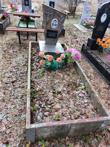 Новокрещенова Анастасия Алексеевна
