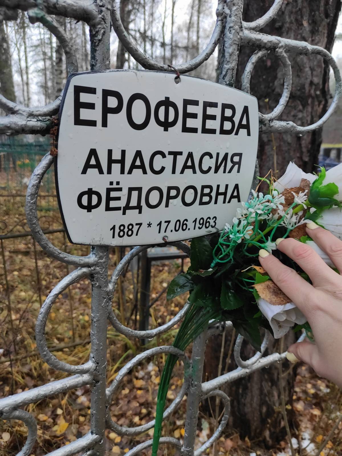 Ерофеева Анастасия Федоровна