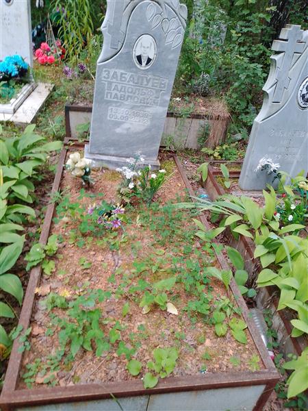 Забалуев Адольф Павлович