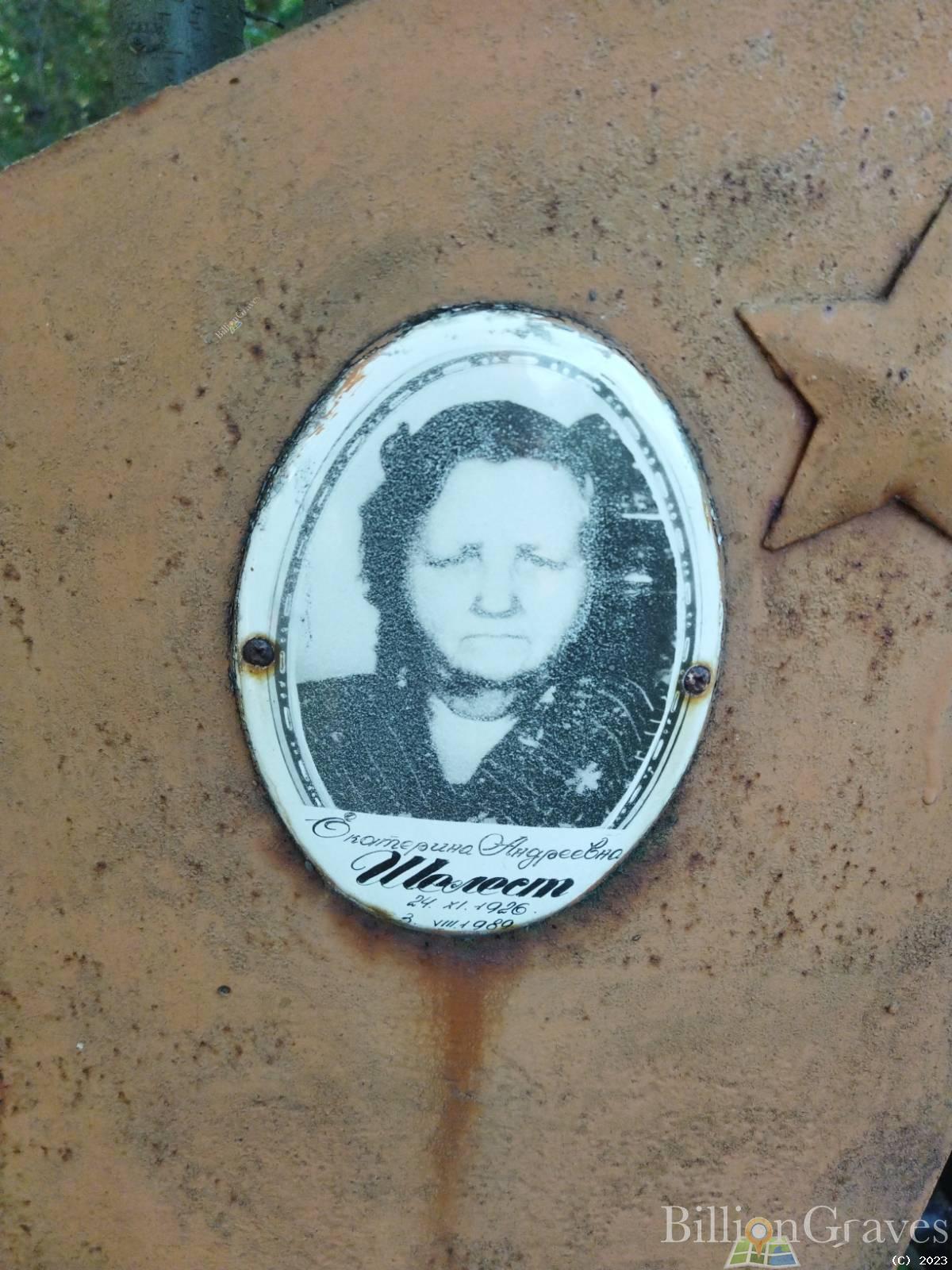 Шелест Екатерина Андреевна