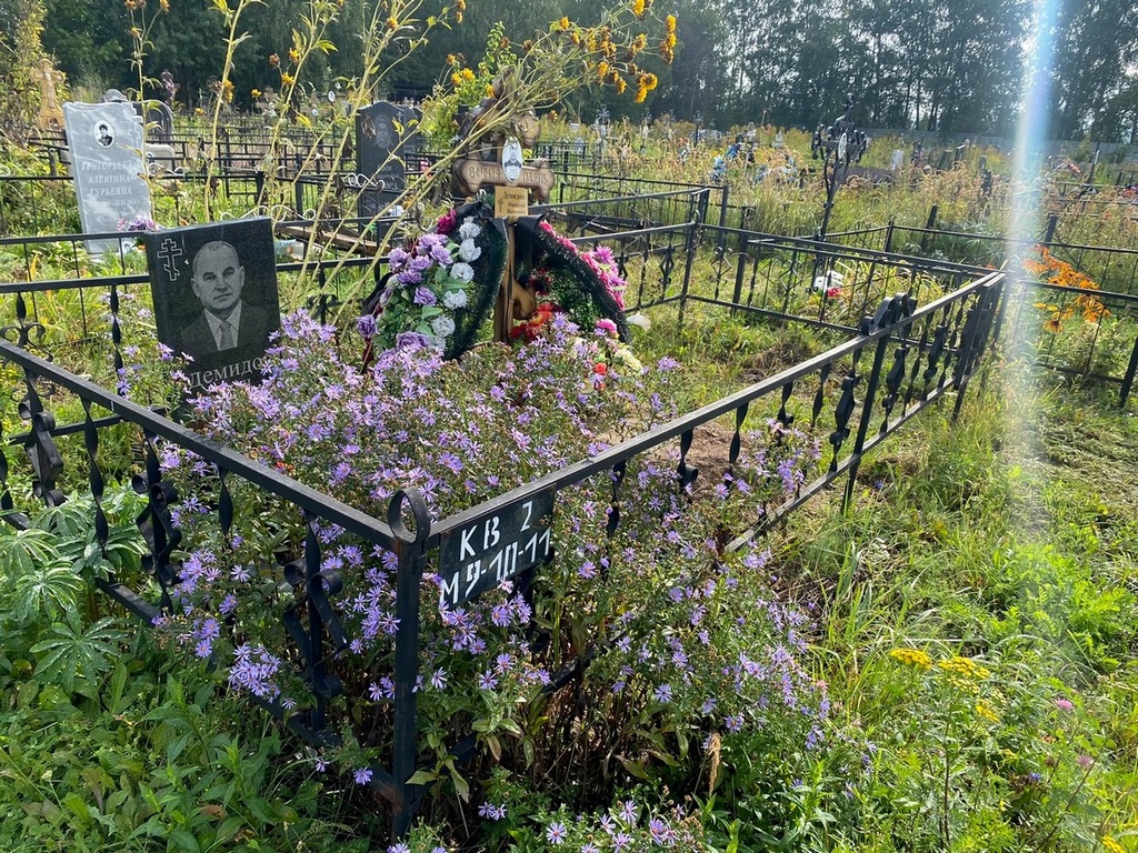 Демидов Николай Иванович