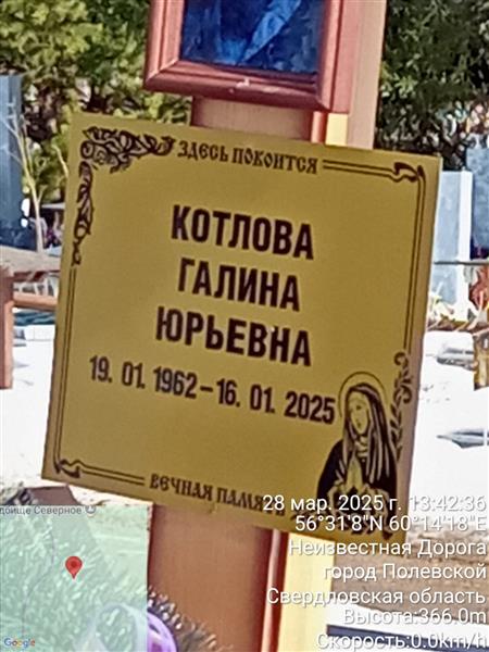 Котлова Галина Юрьевна