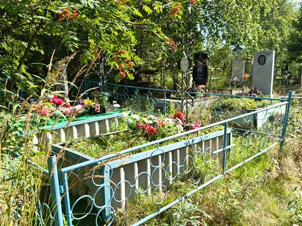 Синеева Людмила Николаевна