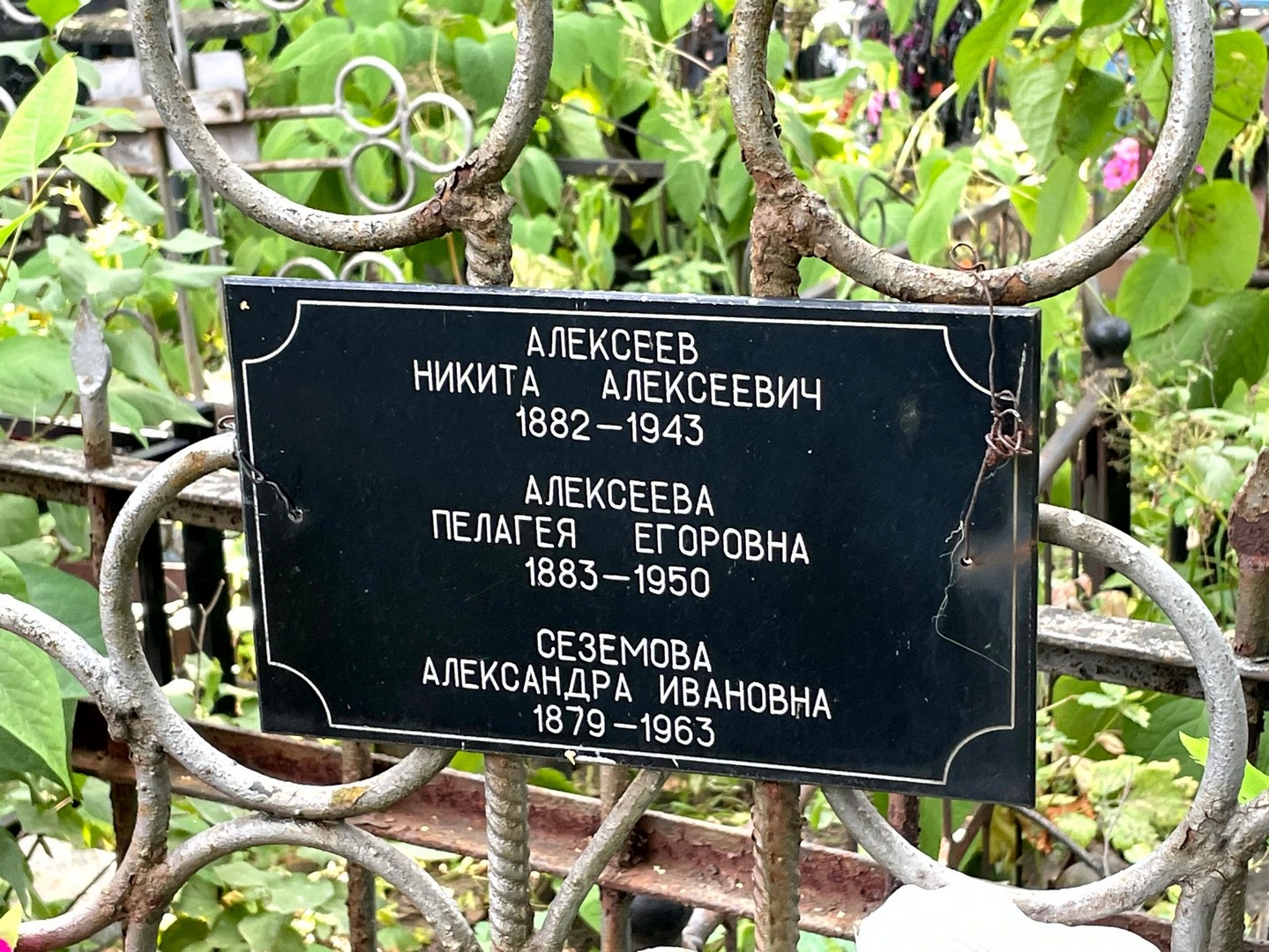 Алексеев Никита Алексеевич