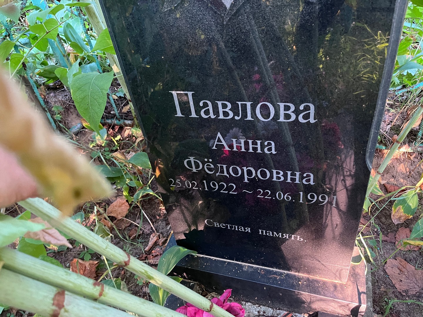 Павлова