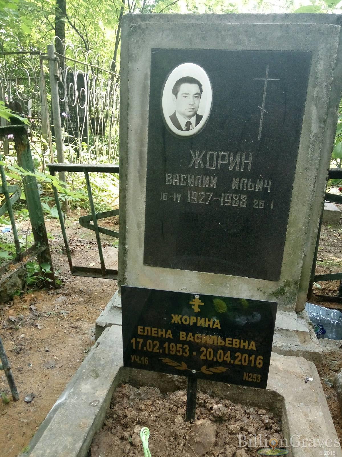 Жорин Василий Ильич