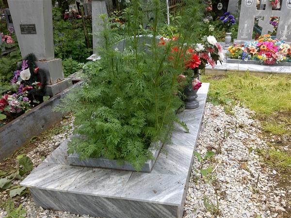 Попов Иван Васильевич