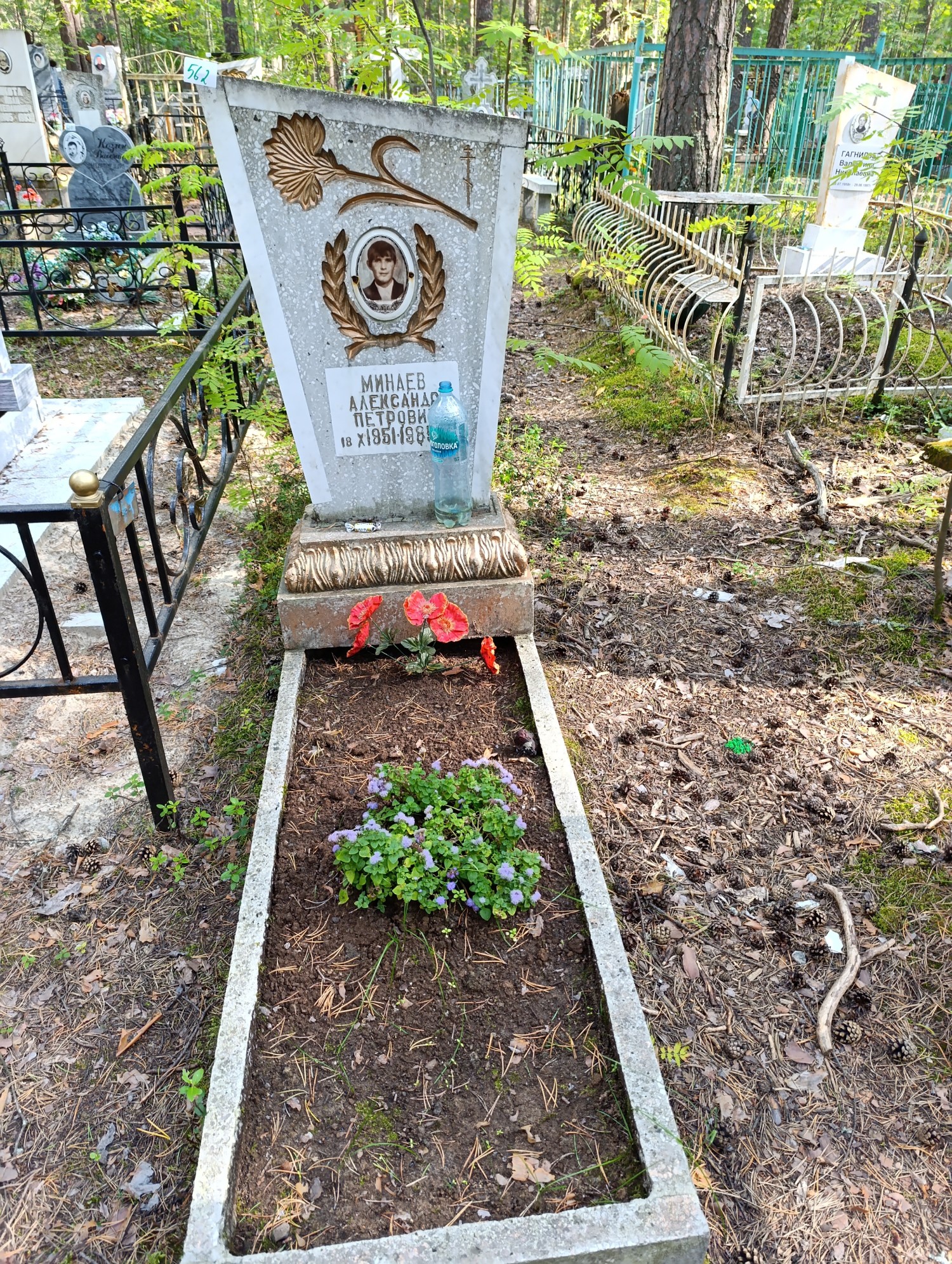 Минаев Александр Петрович