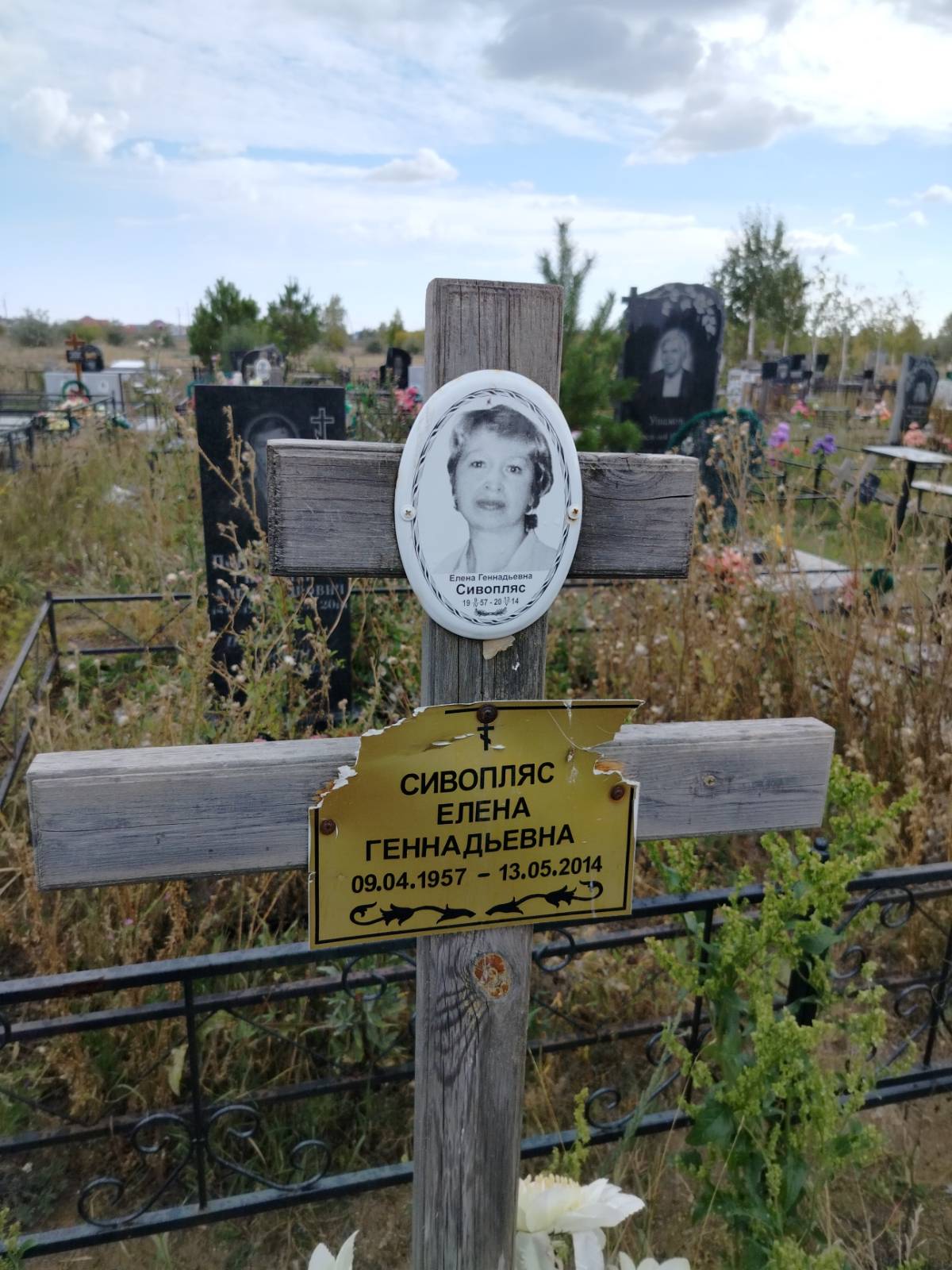 Сивопляс Елена Геннадьевна
