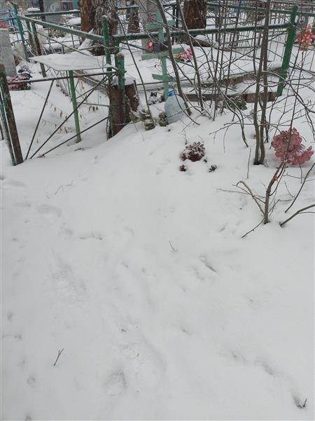 Потапова Анисья Федоровна