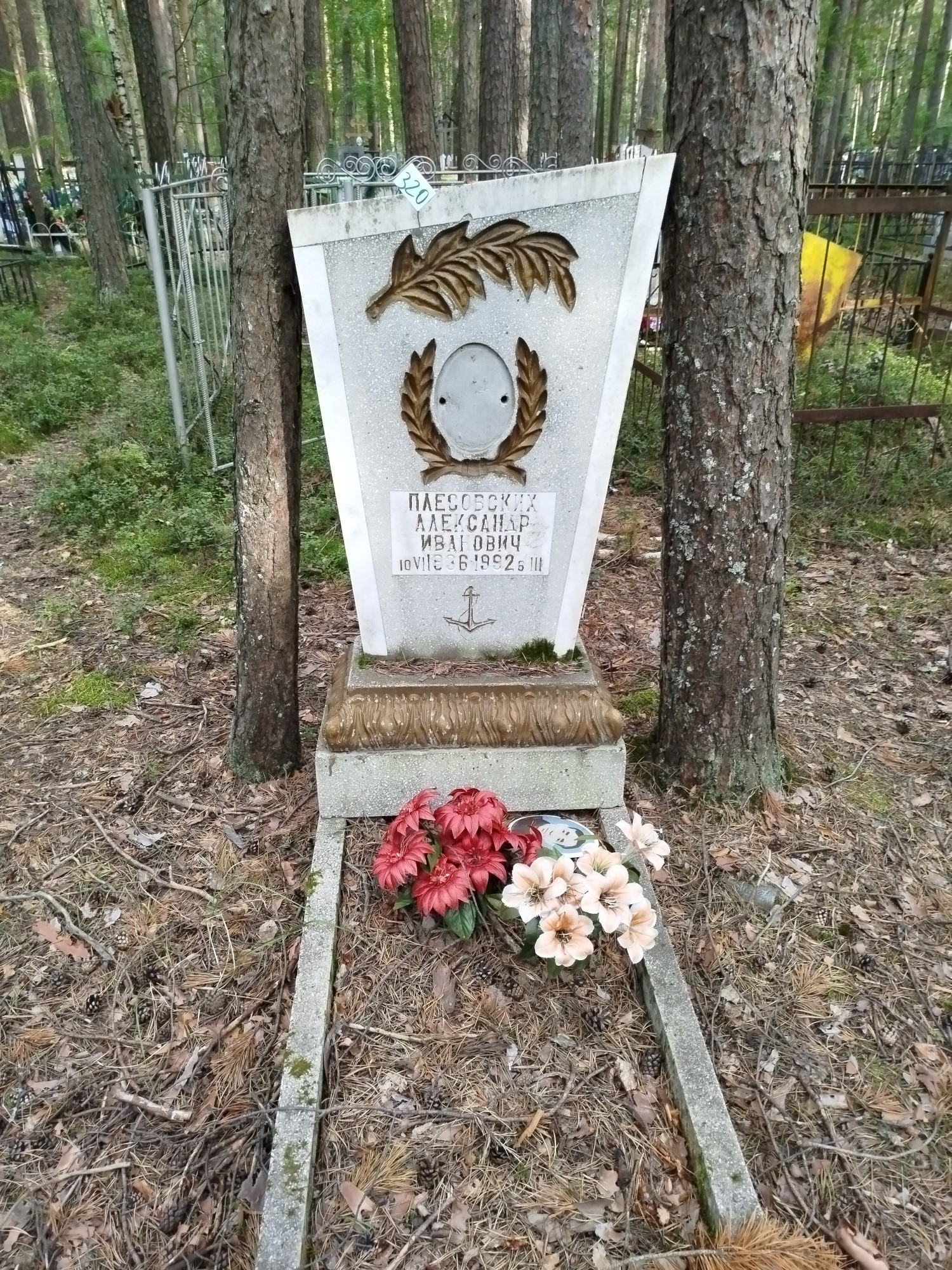 Плесовский Александр Иванович