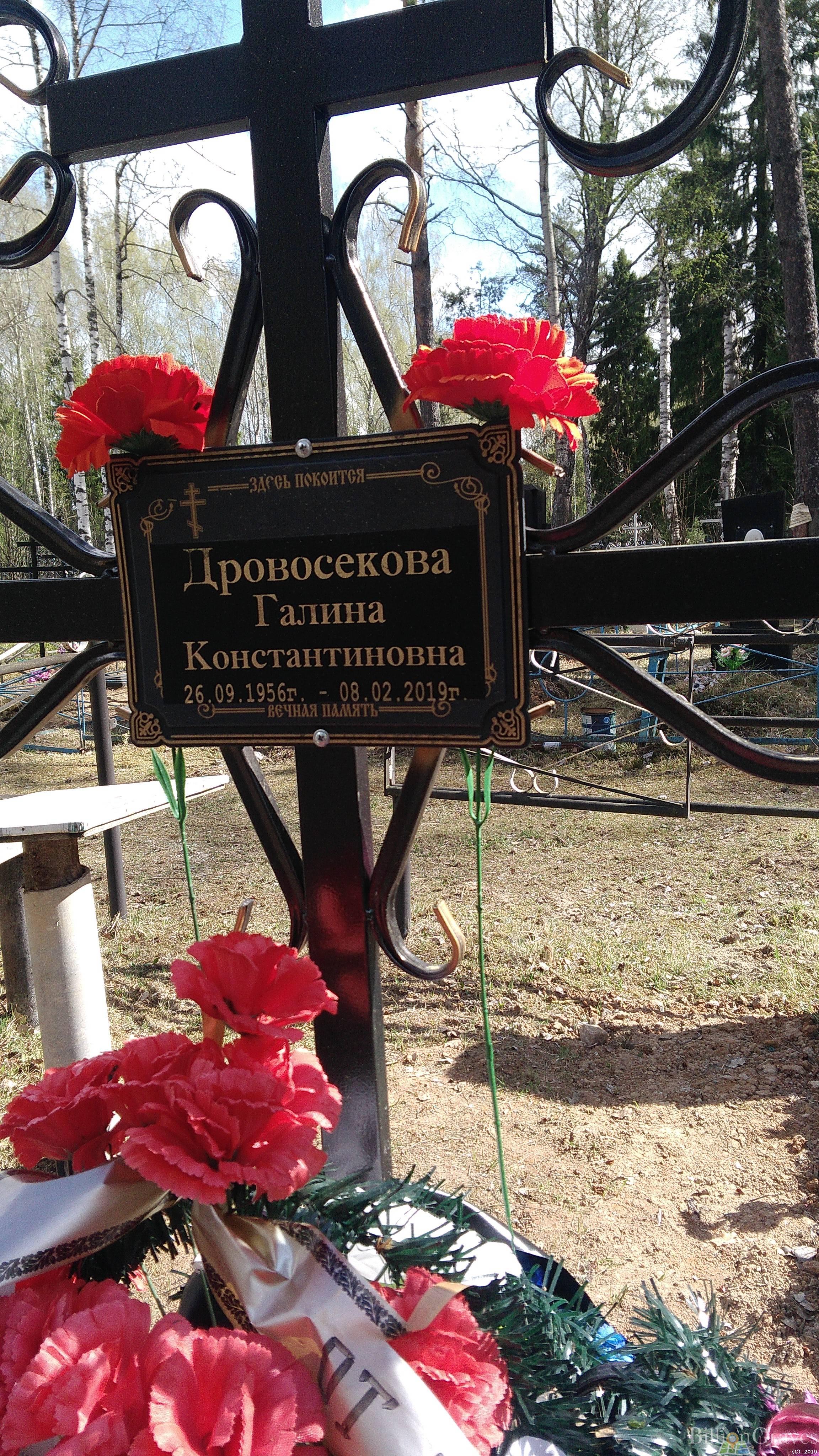 Древосекова Галина Константиновна