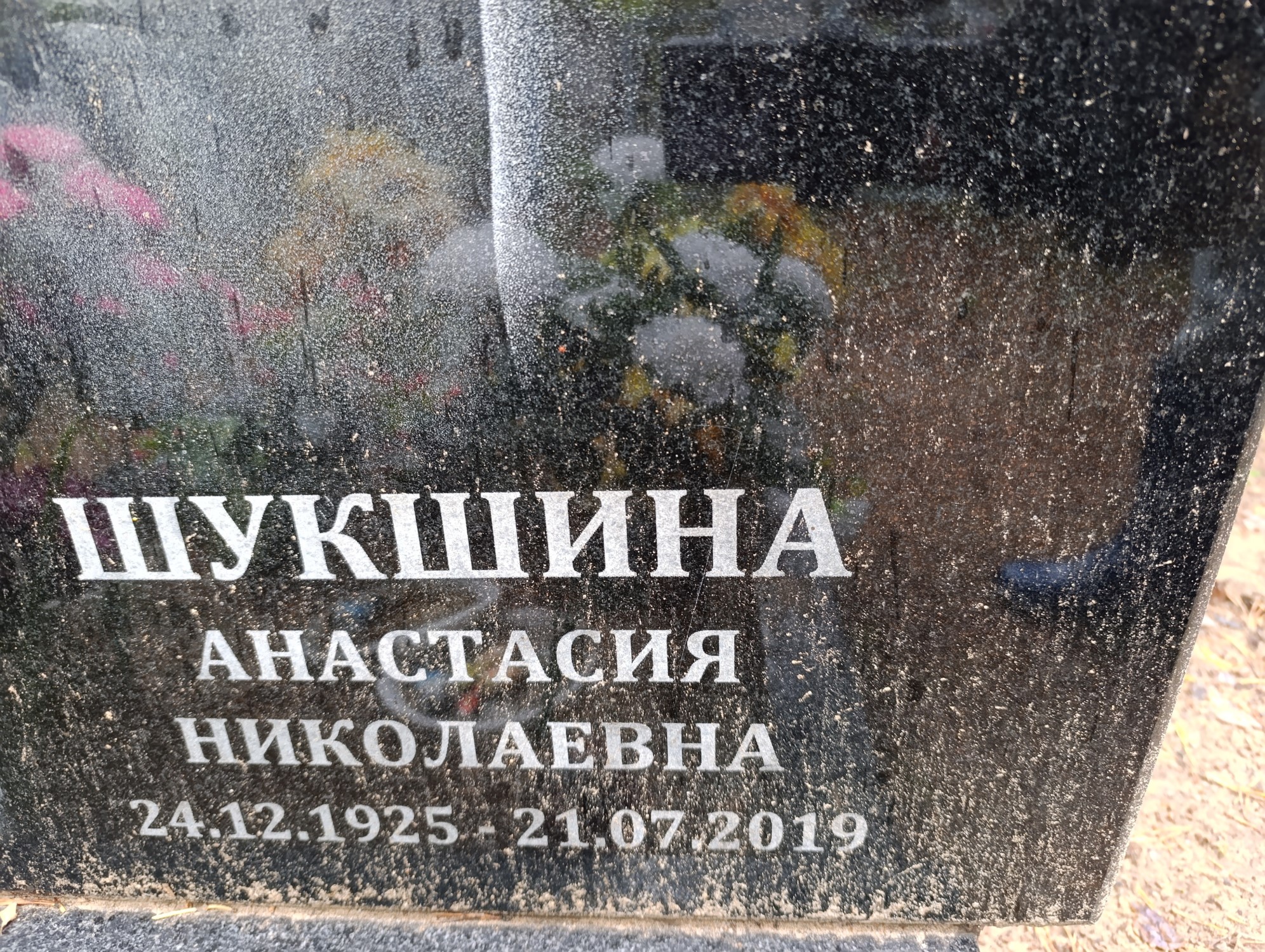 Шукшина Анастасия Николаевна