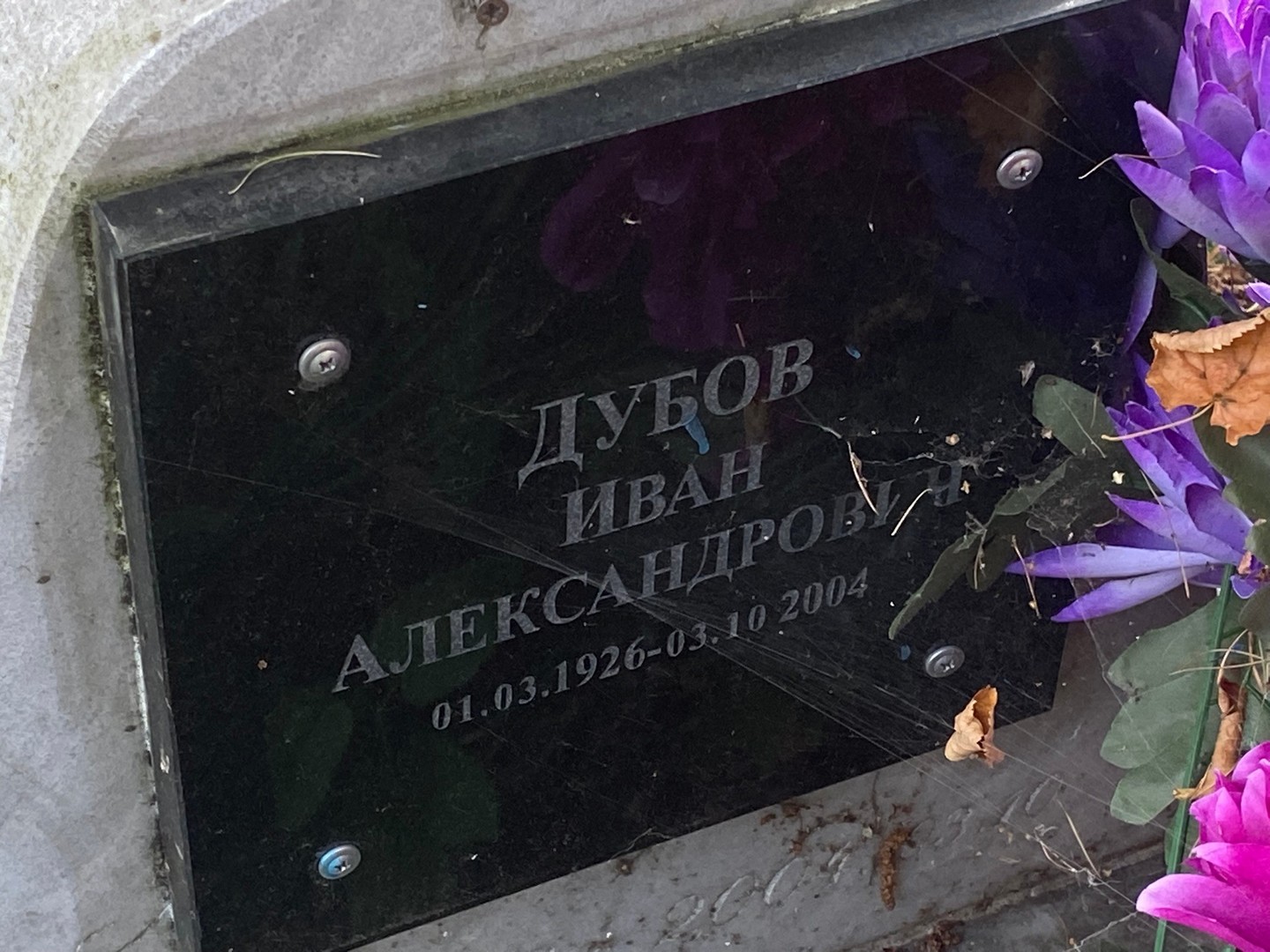 Дубов