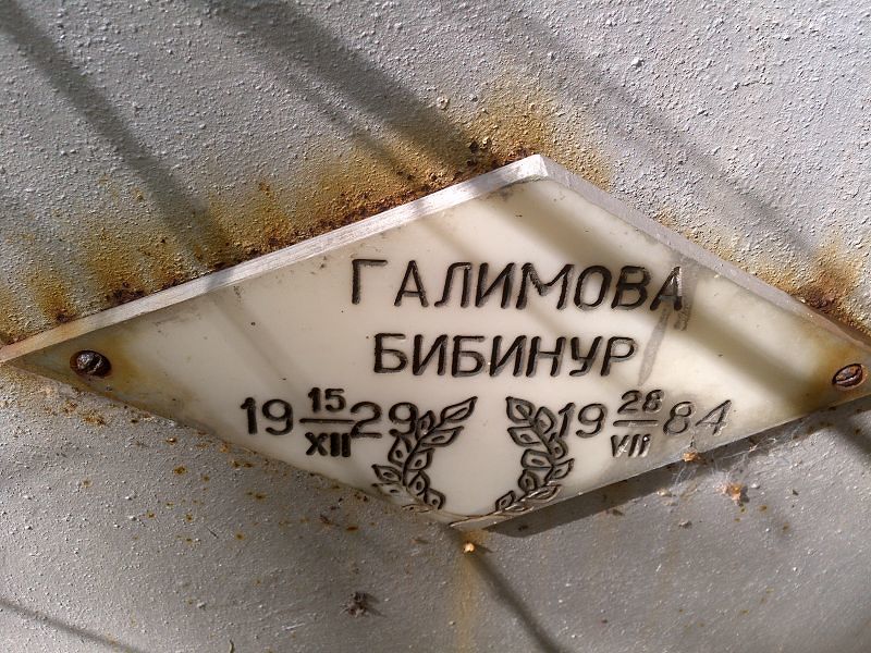 Бибинур Галимова