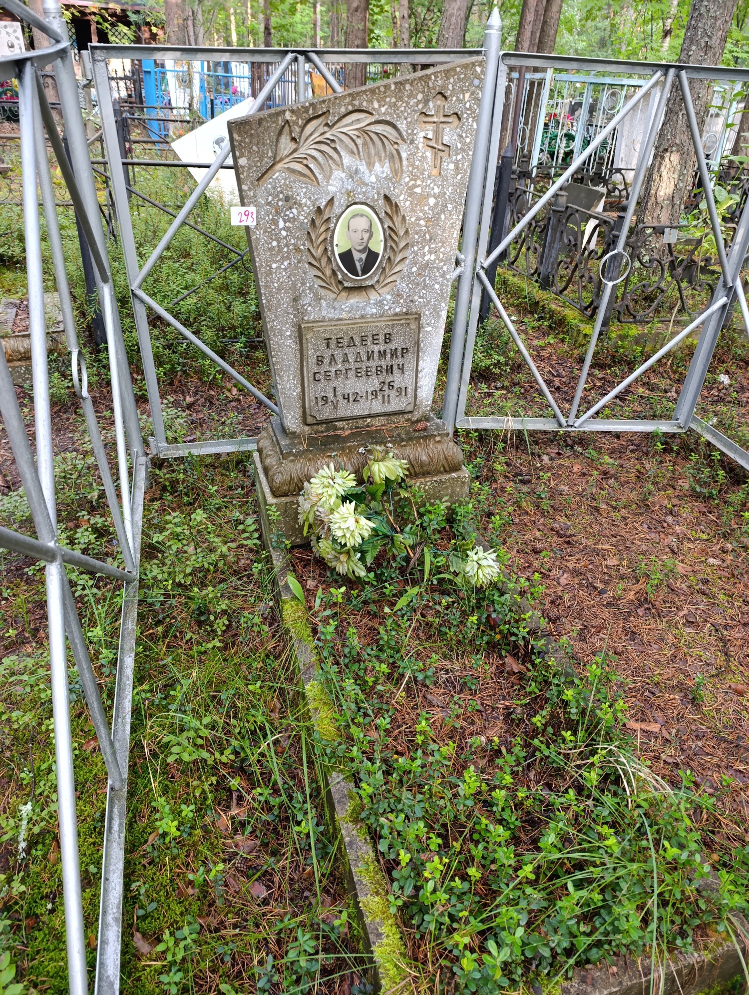 Тедеев Владимир Сергеевич