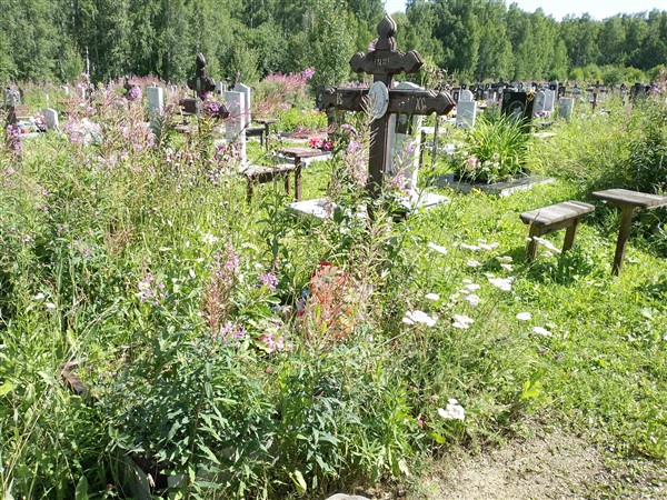 Попков Анатолий Владимирович