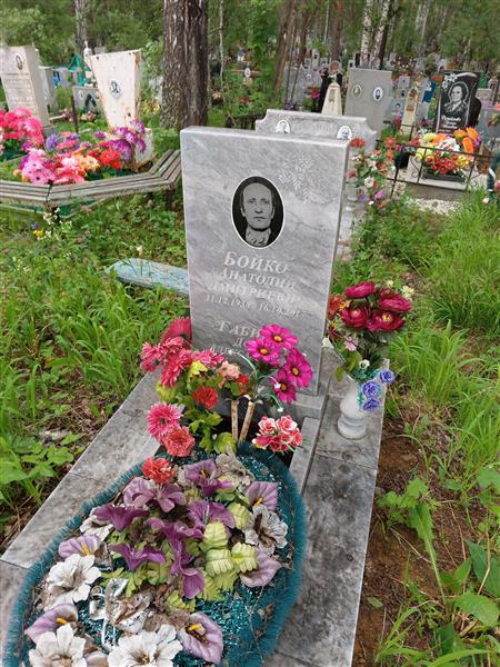 Бойко Анатолий Дмитриевич