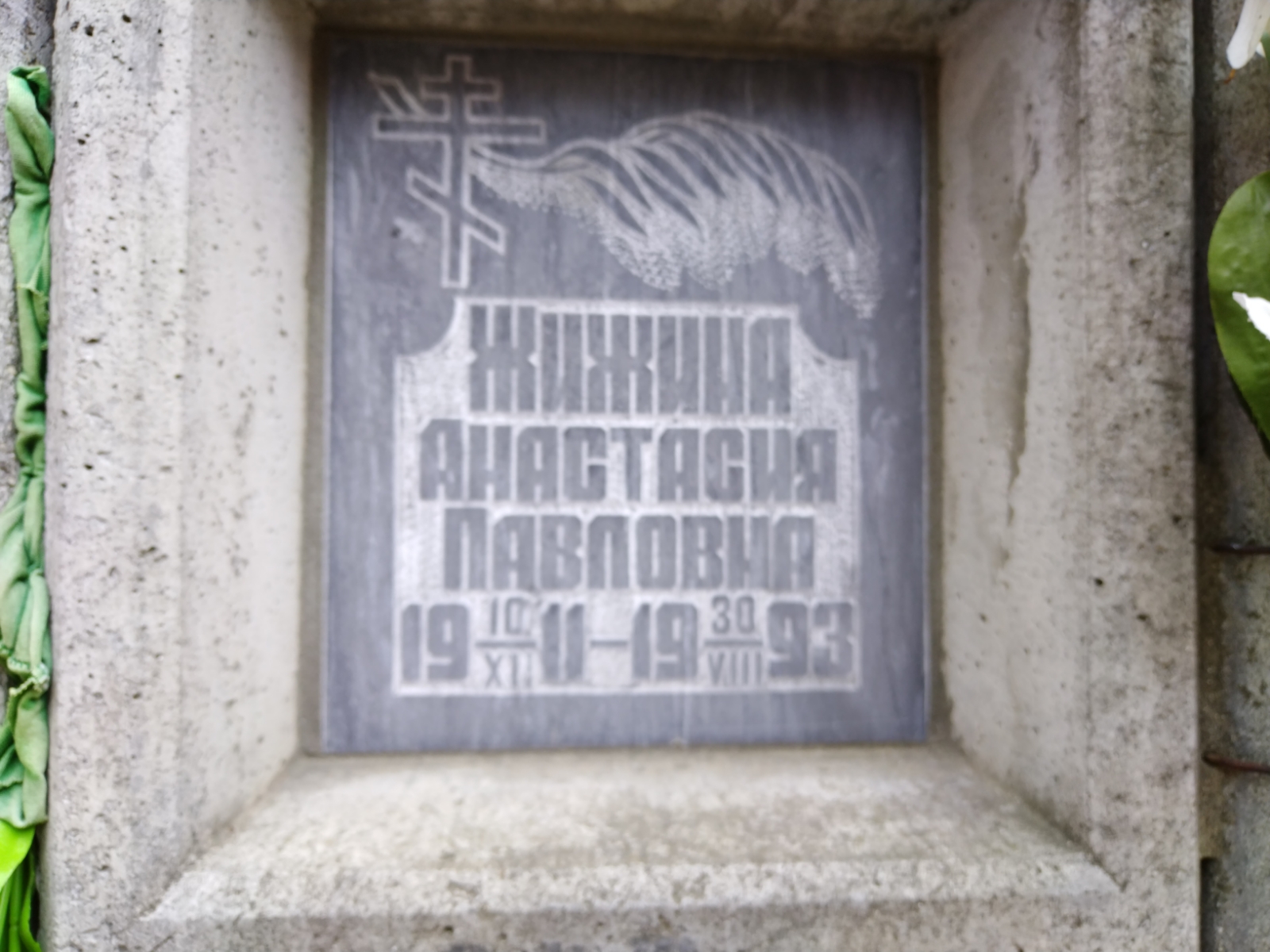 Жижина Анастасия Павловна