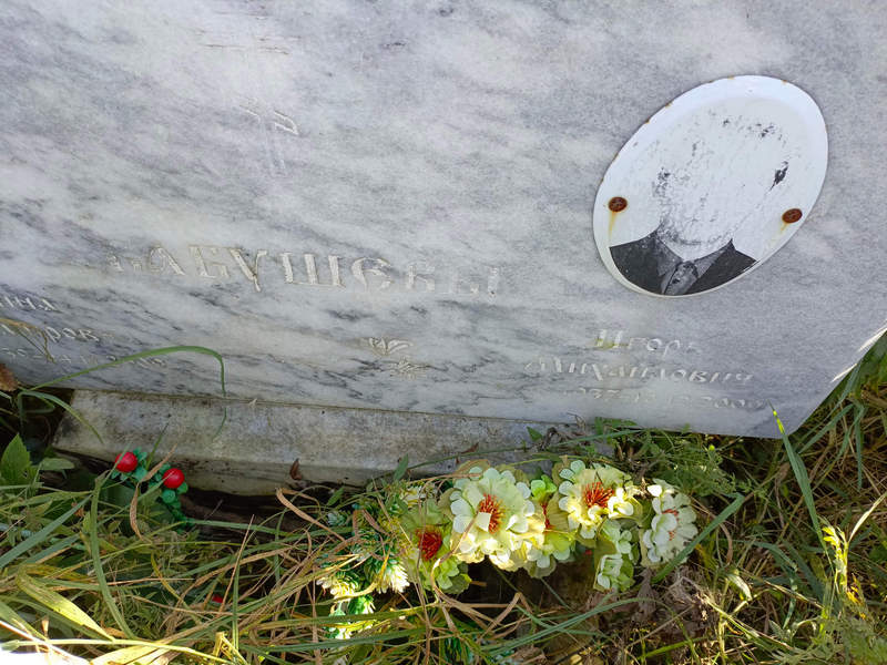 Бабушев