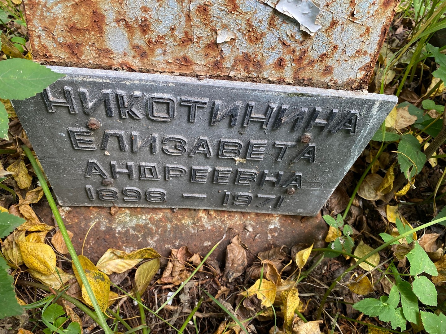 Никотинина