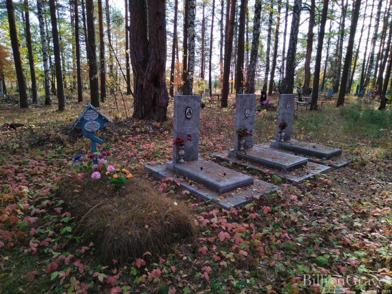 Комлева Анисья Георгиевна