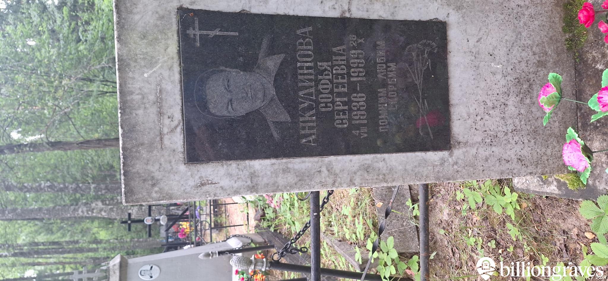 Анкудинова Софья Сергеевна