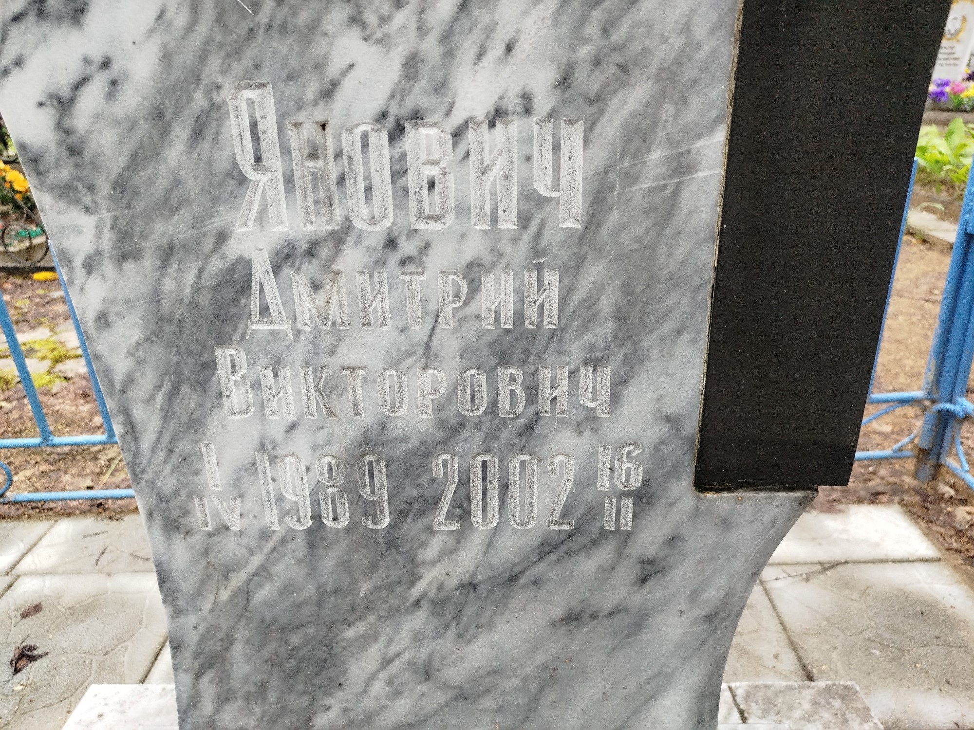 Янович Дмитрий Викторович