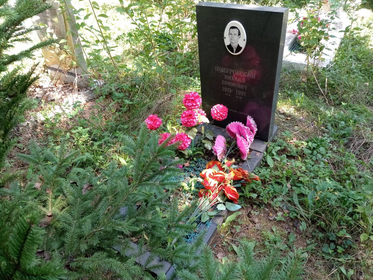 Понуровский Михаил Ефимович