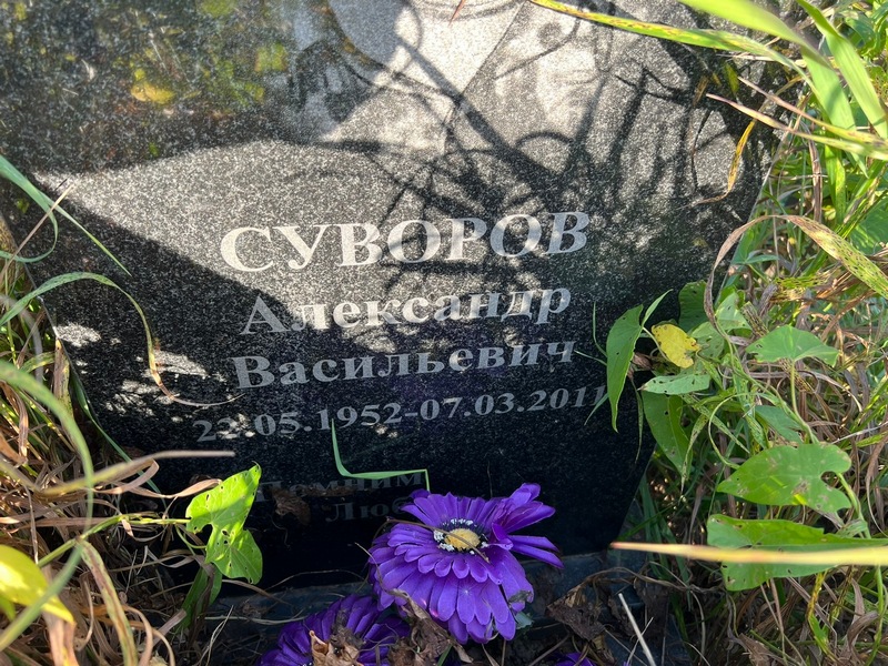 Суворов