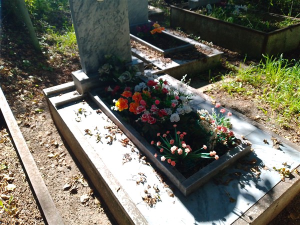Уласевич Наталья Андреевна