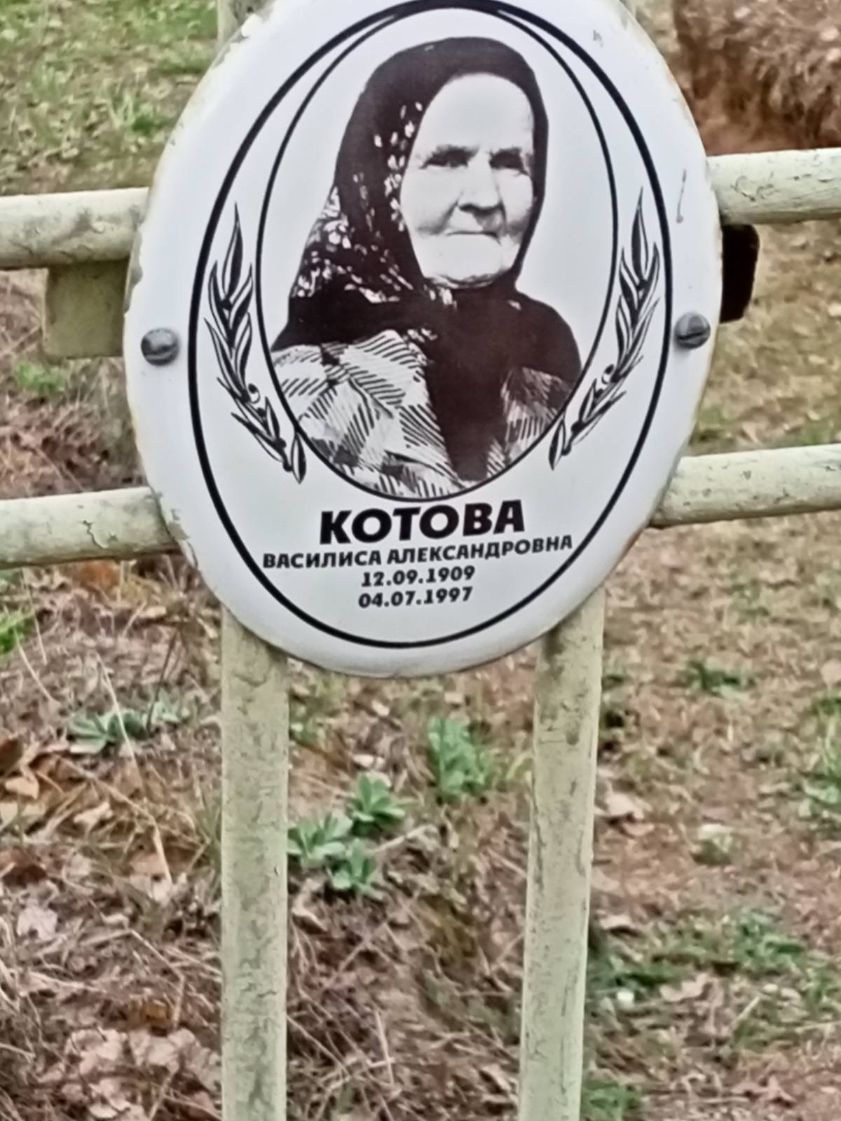 Котова Василиса Александровна