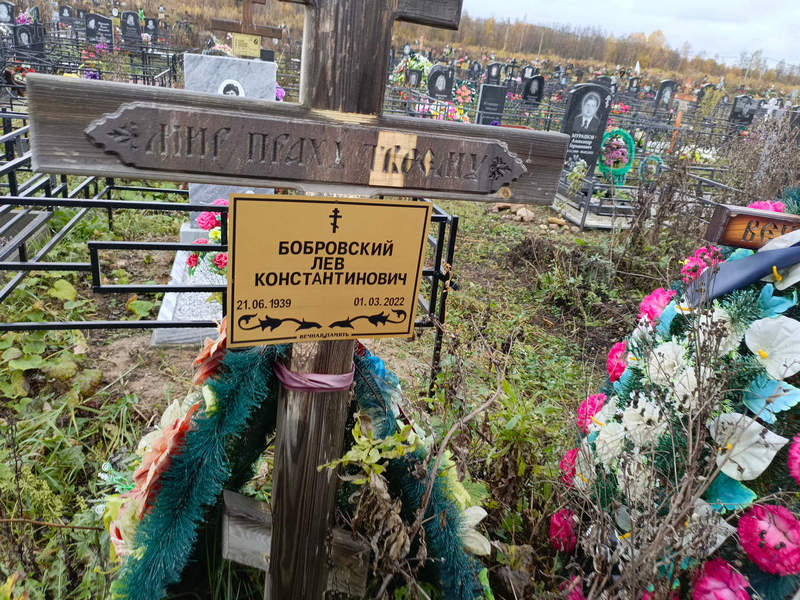 Лев Бобровский Константинович